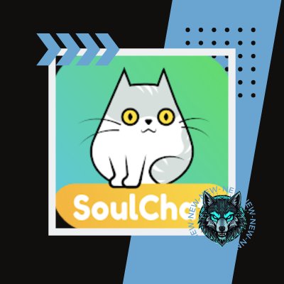 شحن تطبيق سول شات  – SoulChat Top Up